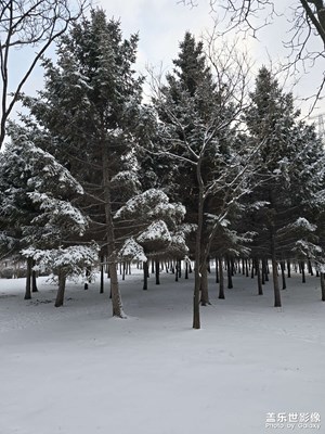 【时光留痕】+第一场大雪