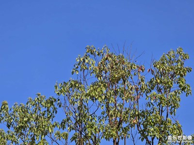 【时光留痕】时光匆匆