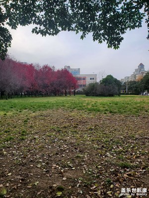 【时光留痕】冬日午后