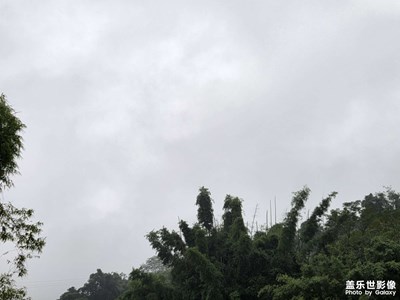 【时光留痕】山野