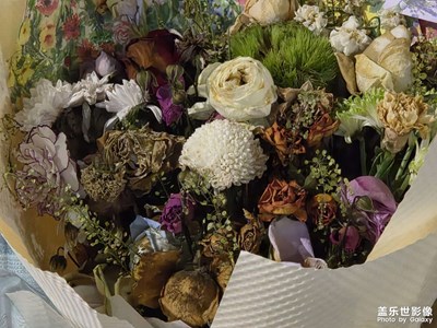 【时光留痕】秋意