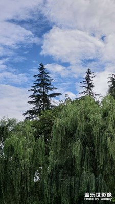 【时光留痕】+记录生活