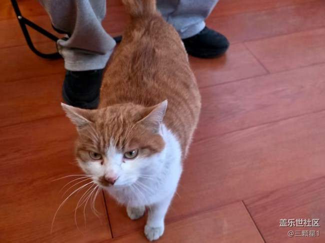 三星Fold7冬日露营活动回顾