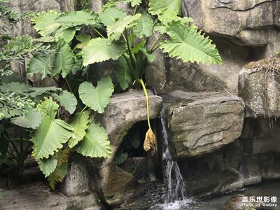 【时光留痕】年初时光