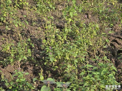 【时光留痕】户外运动