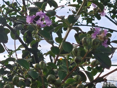 【时光留痕】时光已过