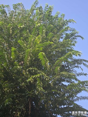 【时光留痕】岁月如梭