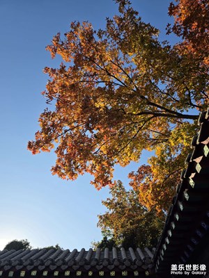 【框住美好】难忘秋色