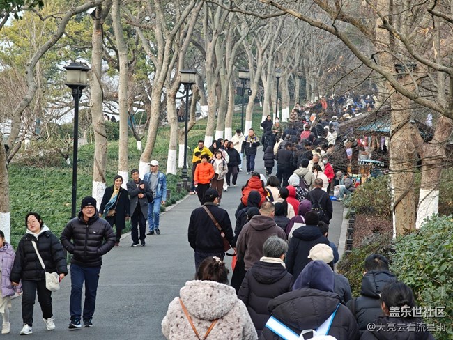 【告别2025】西湖印象