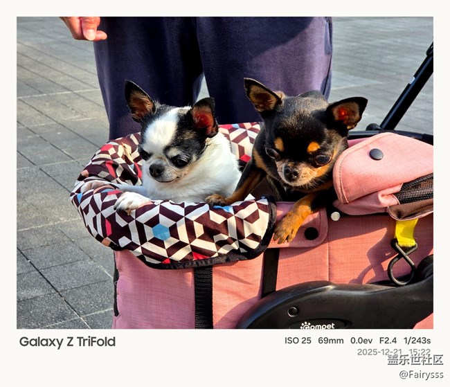 Galaxy Z TriFold随手拍