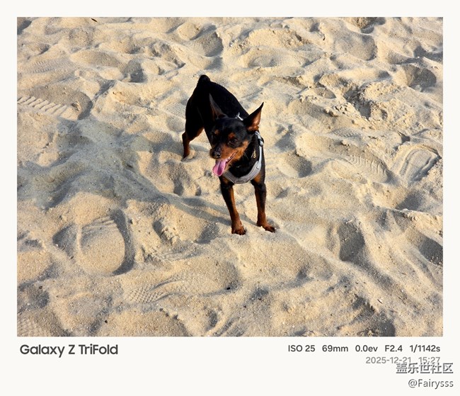 Galaxy Z TriFold随手拍