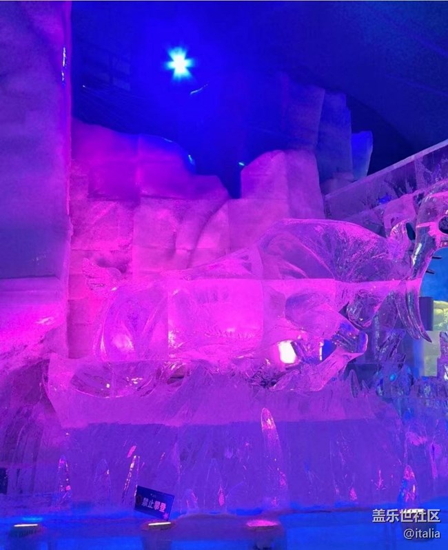 【告别2025】冰雪大世界