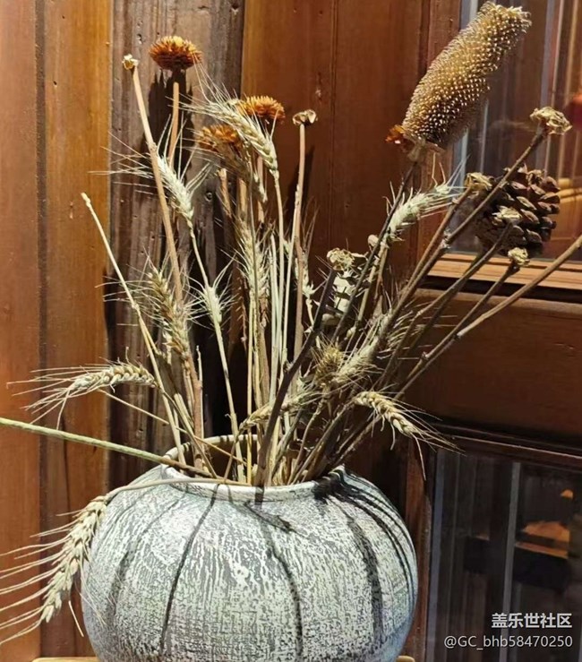 【告别2025】古村