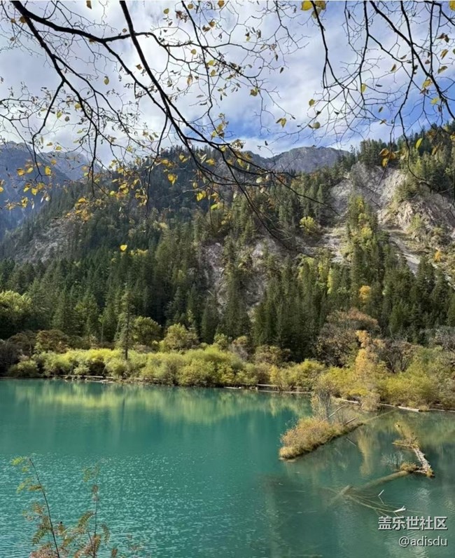 【告别2025】秋季九寨沟