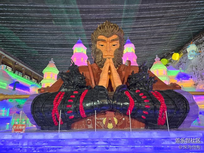 【告别2025】那些记忆瞬间