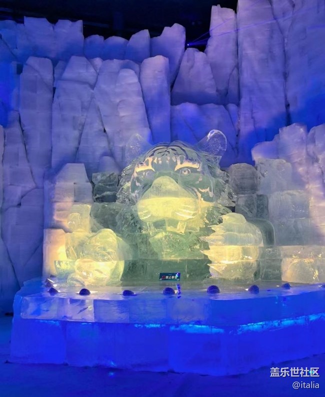 【告别2025】冰雪大世界