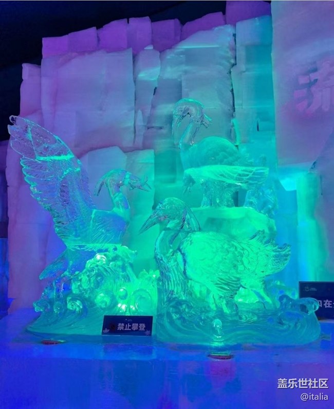 【告别2025】冰雪大世界