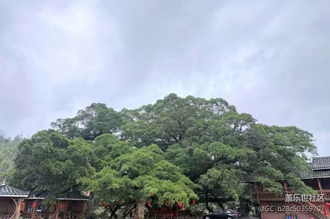 【告别2025】沿途的风景