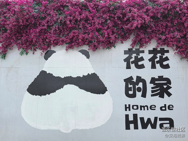 【告别2025】那些记忆瞬间