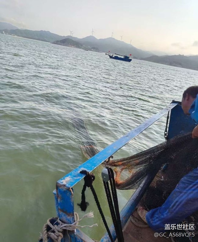 【告别2025】出海