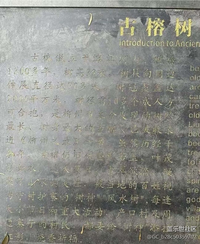 【告别2025】沿途的风景