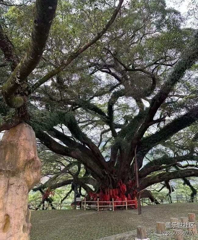 【告别2025】沿途的风景