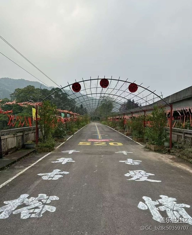 【告别2025】沿途的风景