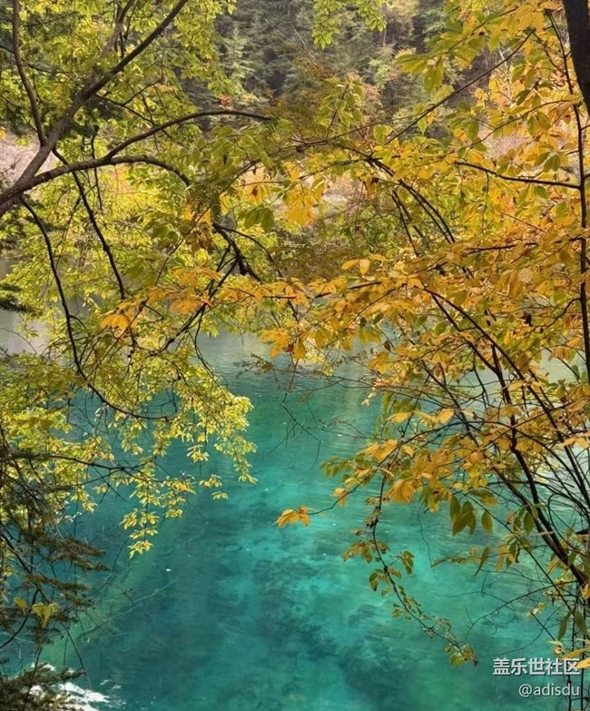 【告别2025】秋季九寨沟