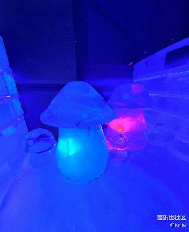 【告别2025】冰雪大世界