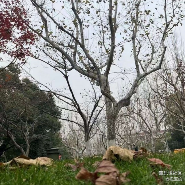 【告别2025】初冬游湖