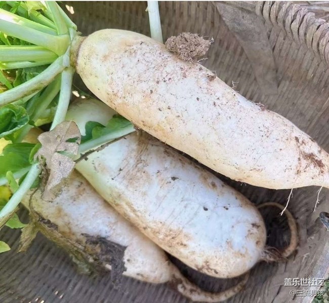 【告别2025】回乡