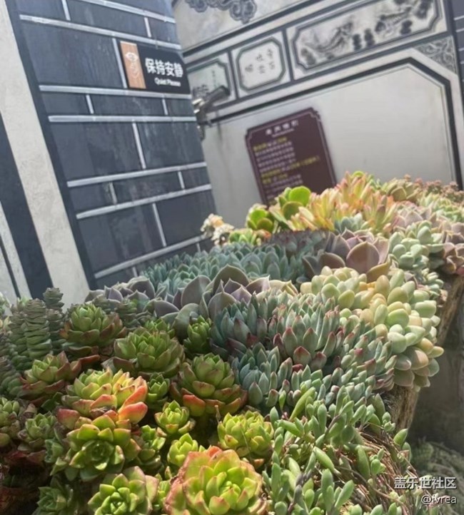 【告别2025】爬仓山