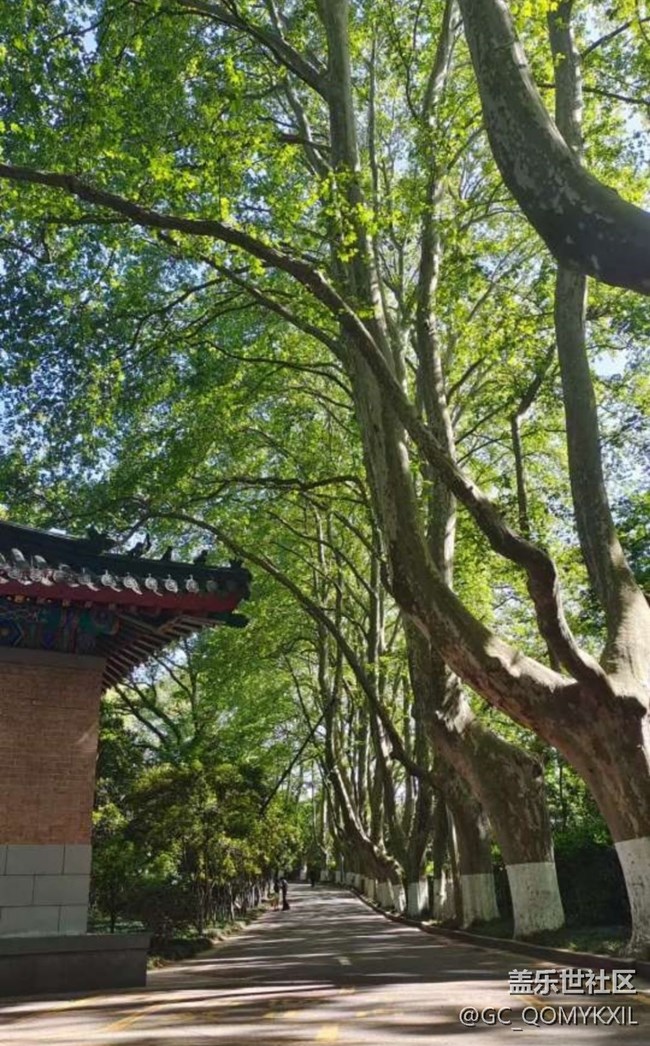 【告别2025】去南京