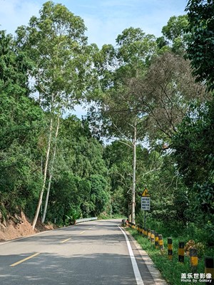 【框住美好】+2025随记