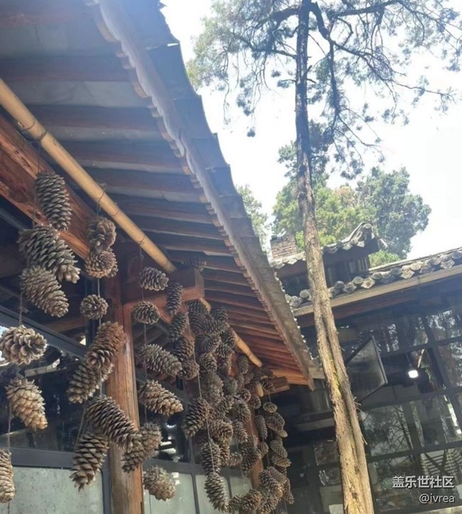 【告别2025】爬仓山