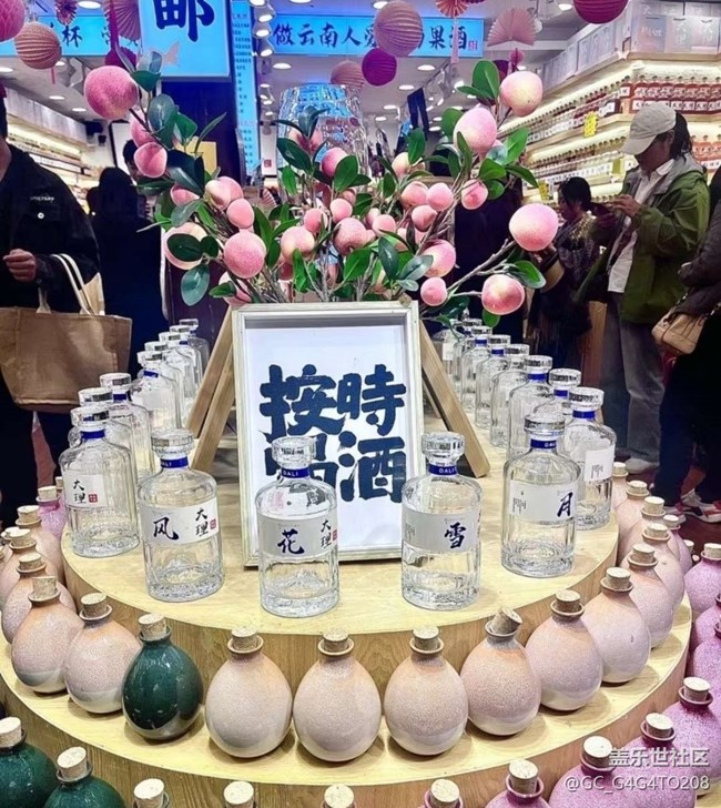 【告别2025】春日出游