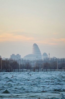 【摄影版块一月第一周】以光影,敬新年