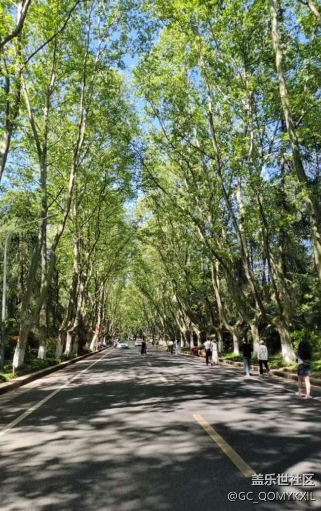 【告别2025】去南京