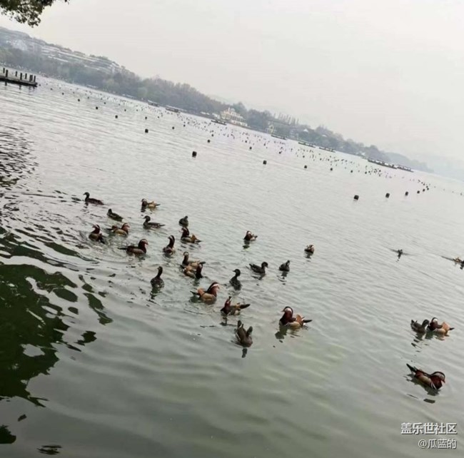 【告别2025】初冬游湖