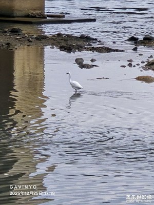 【框住美好】和谐共生