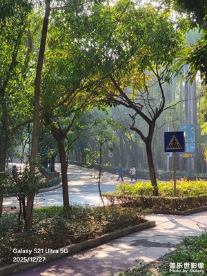 【框住美好】周末随手拍