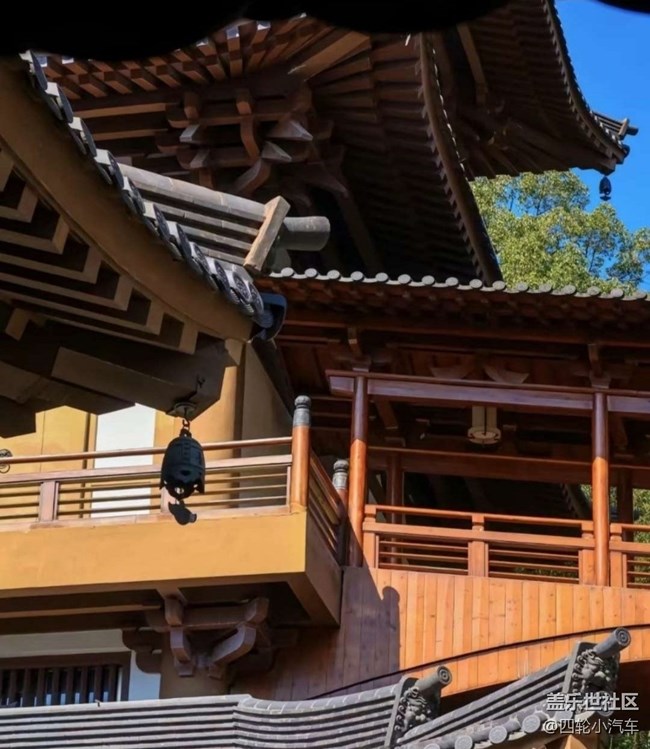 【告别2025】春日求佛