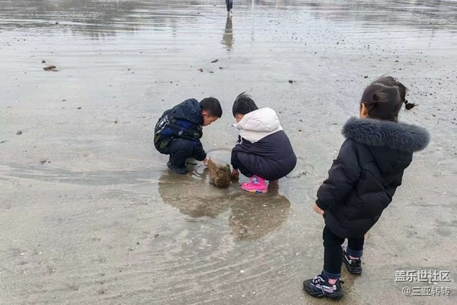 【告别2025】看海