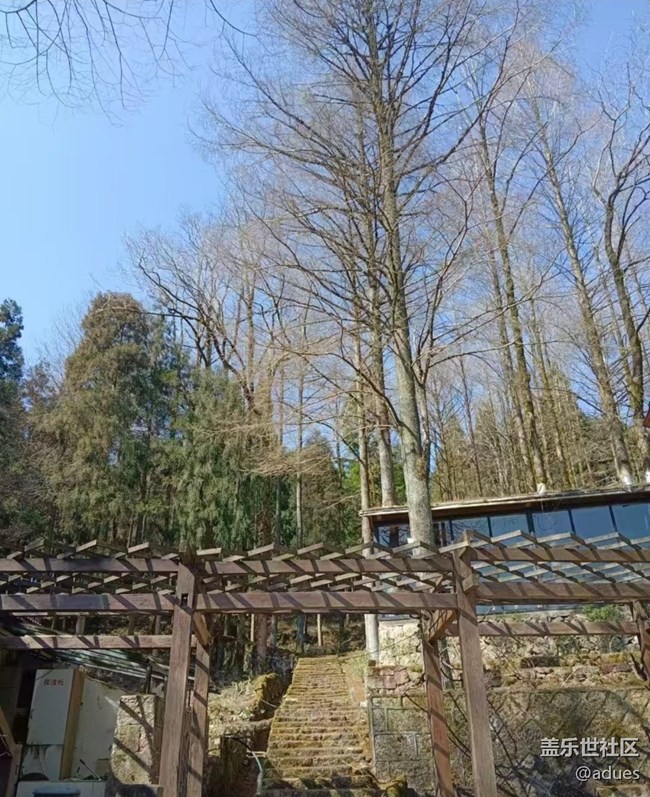 【告别2025】回归自然