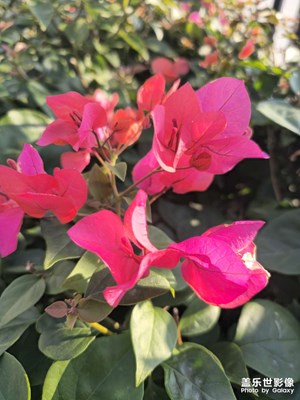 如果不靠AI的话，理论最远可以拍多远