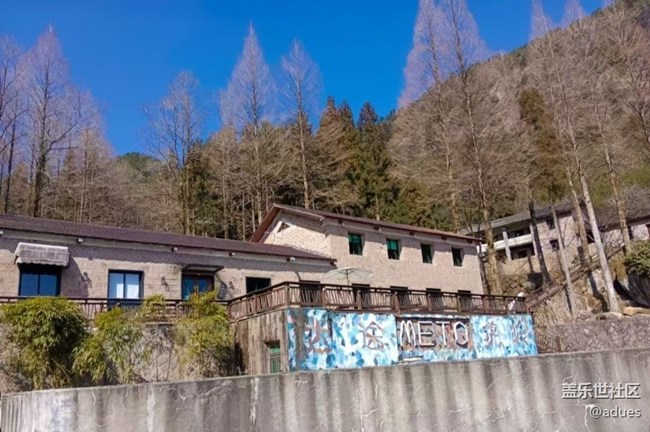 【告别2025】回归自然