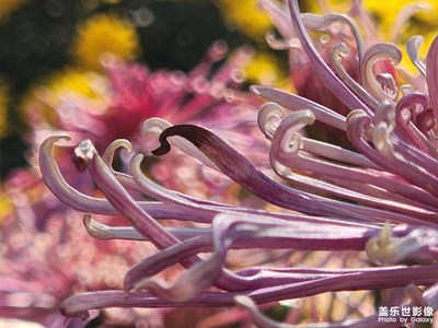 【框住美好】2025的那些美好瞬间