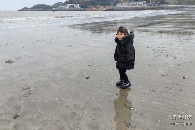 【告别2025】看海