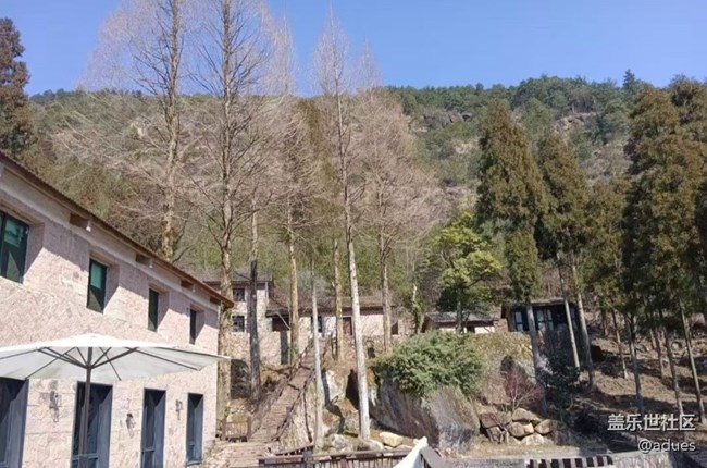 【告别2025】回归自然