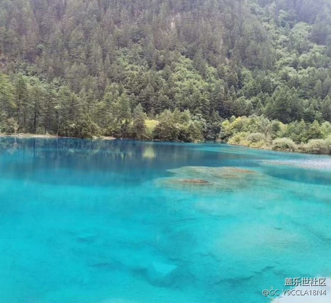 【告别2025】四川行